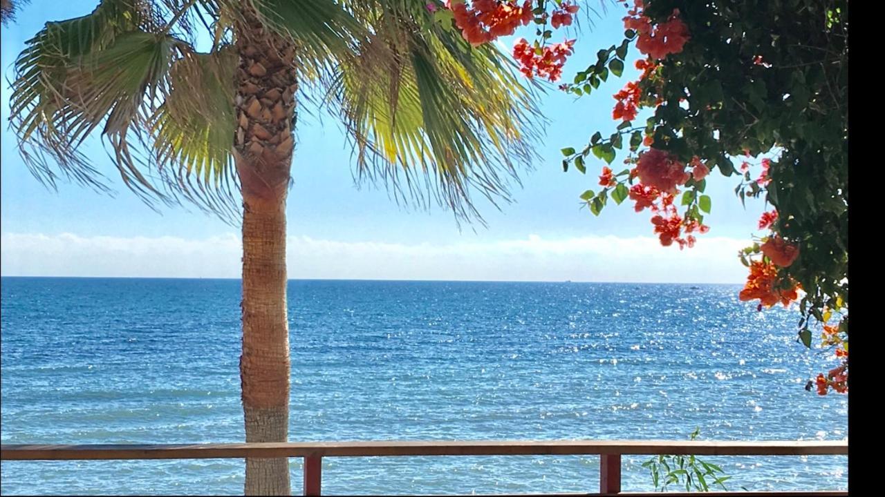 Mi Capricho 3-5 Beachfront- Apartment With Sea Views In Costa Del Sol Sitio de Calahonda Buitenkant foto